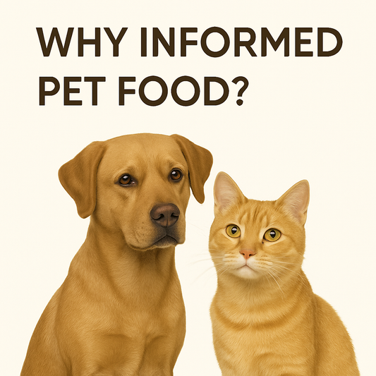 Why We Chose the Name Informed Pet Food