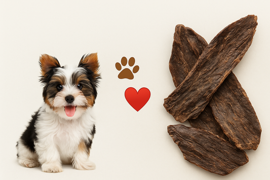 Why Our Premium Single-Ingredient Dehydrated Treats Have a Smell (And Why That’s a Good Thing)