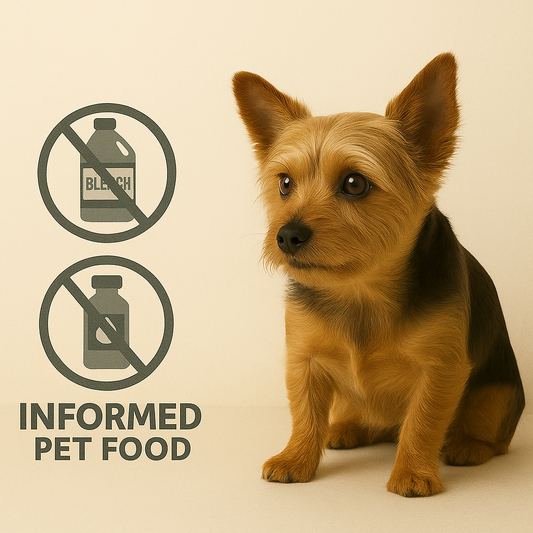 No Bleach, No Peroxide: How Informed Pet Food Keeps Treats Clean — Naturally