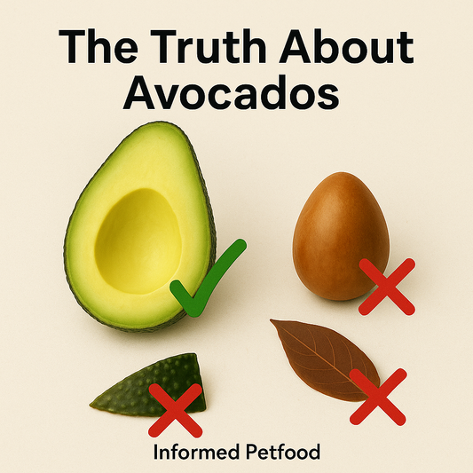 The Truth About Avocados for Dogs: Busting the Myths