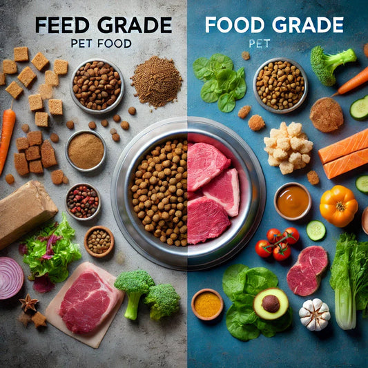 Feed Grade vs. Food Grade Pet Food: What’s the Difference?