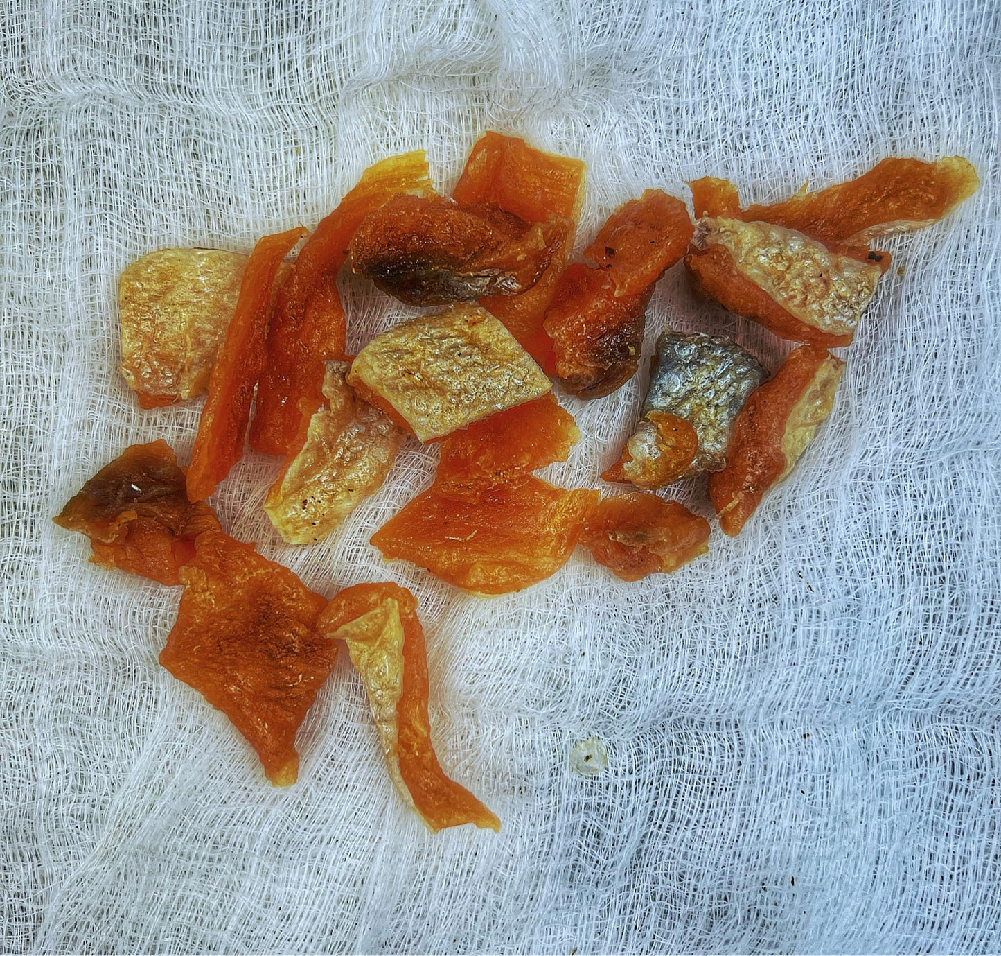 Salmon Bites