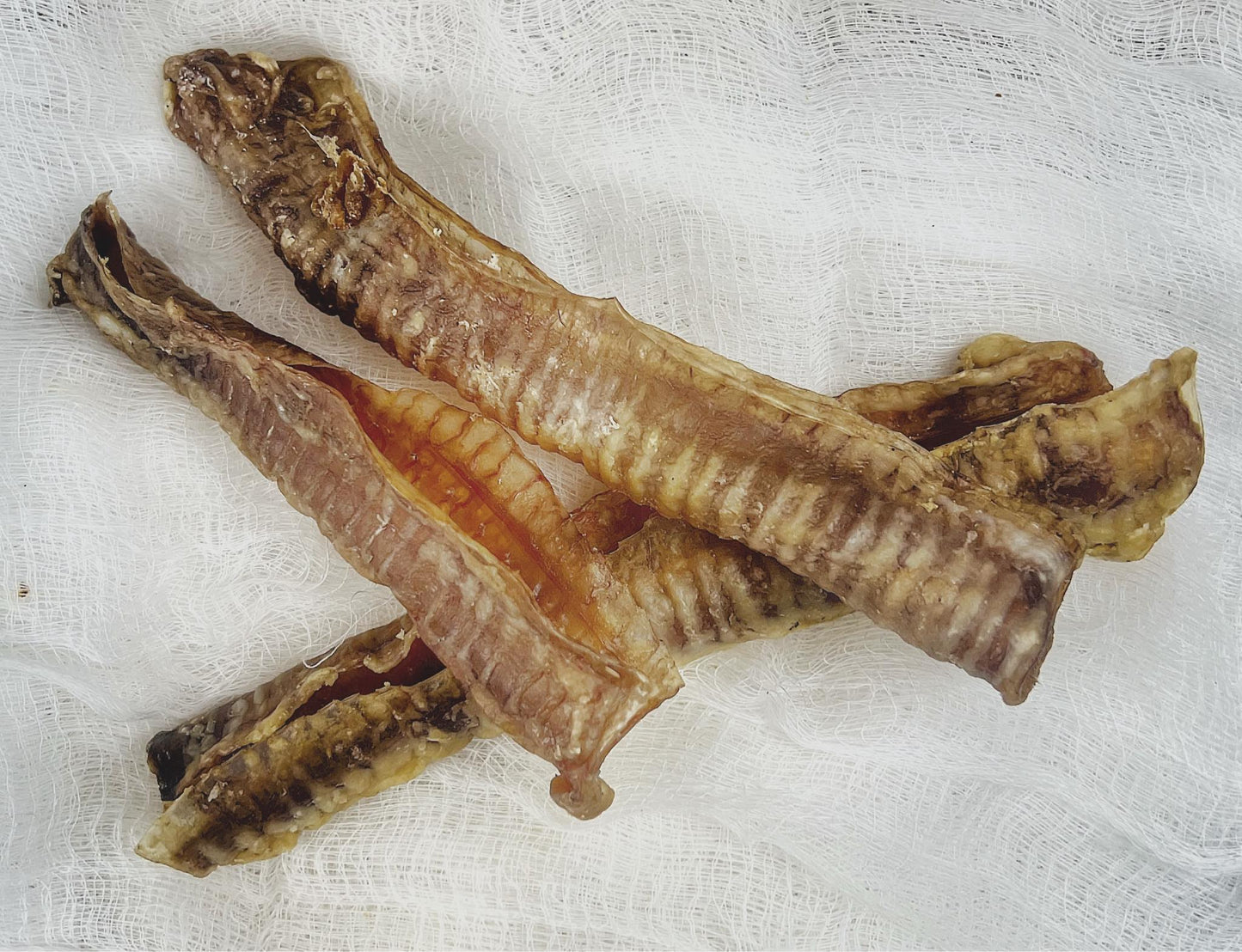 Lamb Trachea